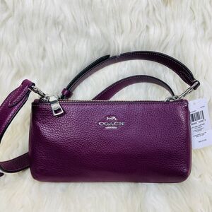 Coach Double Zip Crossbody